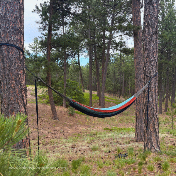 Classic-Hammock