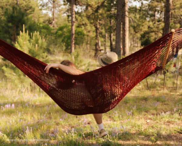 Double Hammock - Burgundy